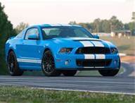 shelby500