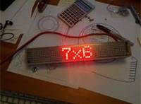 snapjaw (select to view enlarged photo)