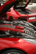 PHOTO (select to view enlarged photo)