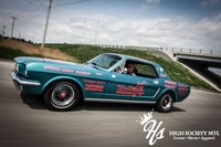 mustang (select to view enlarged photo)