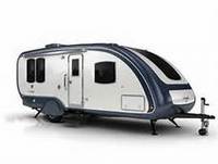 evergreen (select to view enlarged photo)