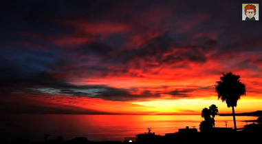 PHOTO (select to view enlarged photo)