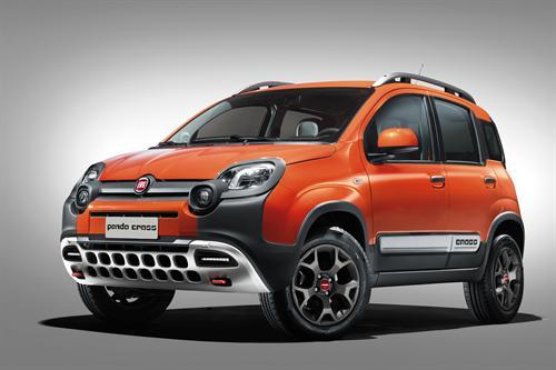 fiat panda