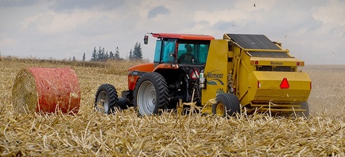 PHOTO (select to view enlarged photo)