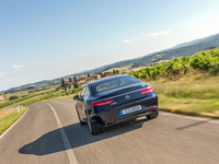 PHOTO (select to view enlarged photo)