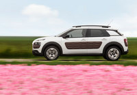 2015 Citroën Cactus (select to view enlarged photo)