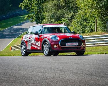 mini  (select to view enlarged photo)