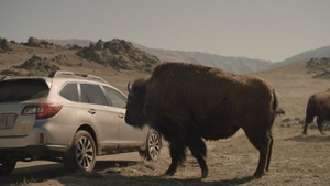 subaru outback (select to view enlarged photo)