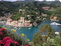 PHOTO (select to view enlarged photo)