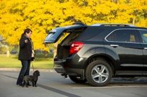 pet on lease (select to view enlarged photo)