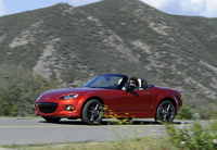 PHOTO (select to view enlarged photo)