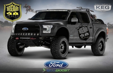 ford f-150 (select to view enlarged photo)