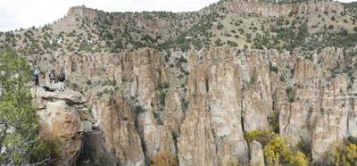 land rover bear (select to view enlarged photo)