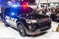 PHOTO (select to view enlarged photo)