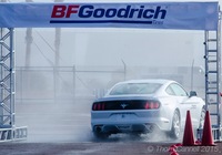 PHOTO (select to view enlarged photo)