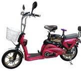 electic bicycle