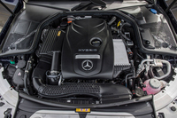 PHOTO (select to view enlarged photo)