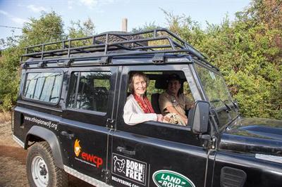 land rover and lions (select to view enlarged photo)