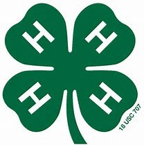 4-h