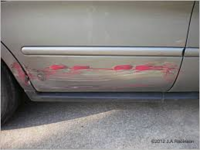 PHOTO (select to view enlarged photo)