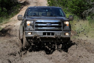 ford f-150 (select to view enlarged photo)