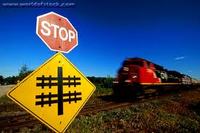 PHOTO (select to view enlarged photo)