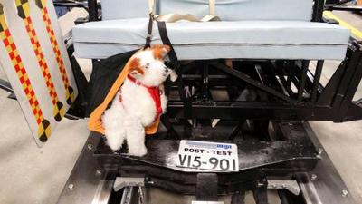 subaru pet (select to view enlarged photo)