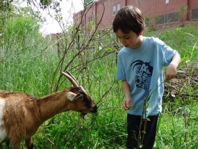 ford sustainability (select to view enlarged photo)