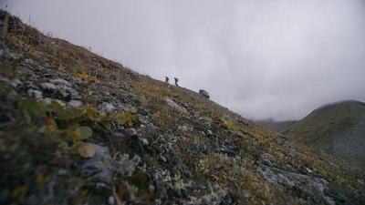 ram campaign (select to view enlarged photo)