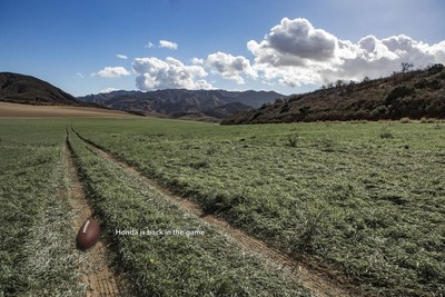 honda and superbowl (select to view enlarged photo)