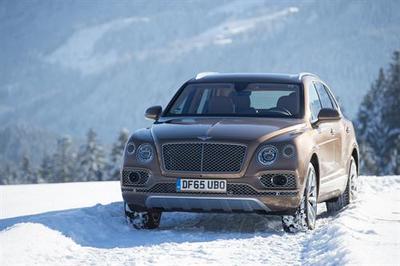 BENTLEY BENTAYA (select to view enlarged photo)