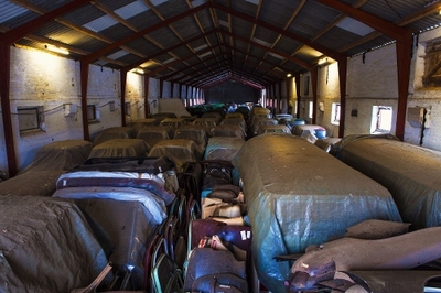 PHOTO (select to view enlarged photo)