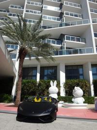 PHOTO (select to view enlarged photo)