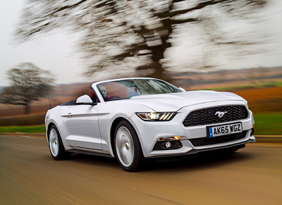 PHOTO (select to view enlarged photo)