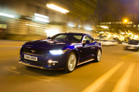 PHOTO (select to view enlarged photo)