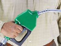 PHOTO (select to view enlarged photo)