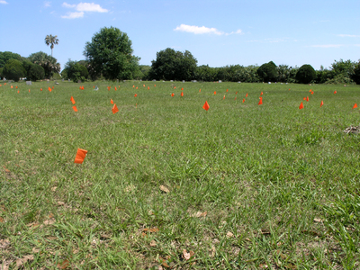 PHOTO (select to view enlarged photo)