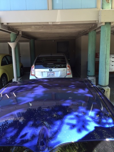 PHOTO (select to view enlarged photo)