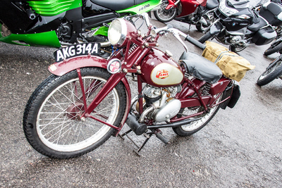 PHOTO (select to view enlarged photo)