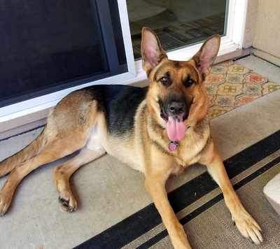 PHOTO (select to view enlarged photo)