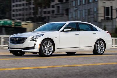 PHOTO (select to view enlarged photo)