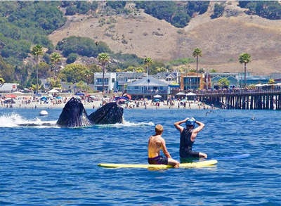 PHOTO (select to view enlarged photo)