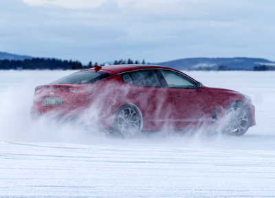 PHOTO (select to view enlarged photo)