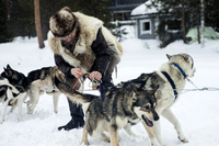 PHOTO (select to view enlarged photo)