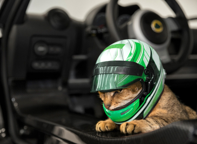 PHOTO (select to view enlarged photo)