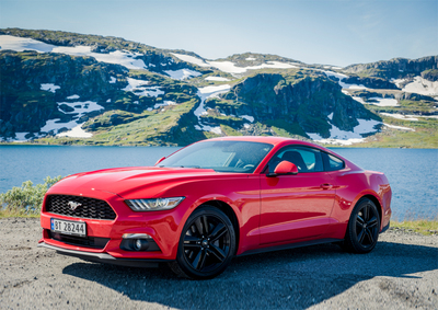 PHOTO (select to view enlarged photo)