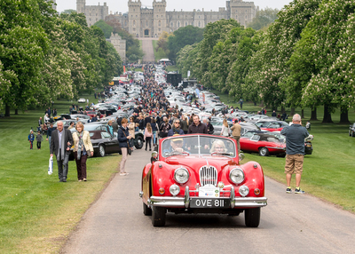 PHOTO (select to view enlarged photo)