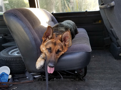 PHOTO (select to view enlarged photo)