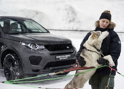 PHOTO (select to view enlarged photo)