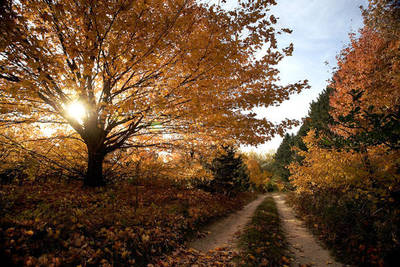 PHOTO (select to view enlarged photo)